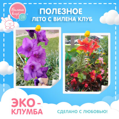 Зайка Вилли_персонаж